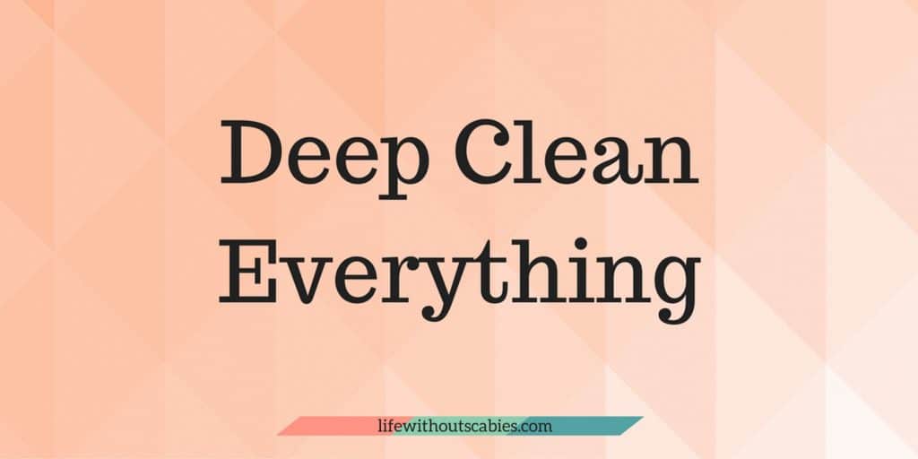 deep clean everything