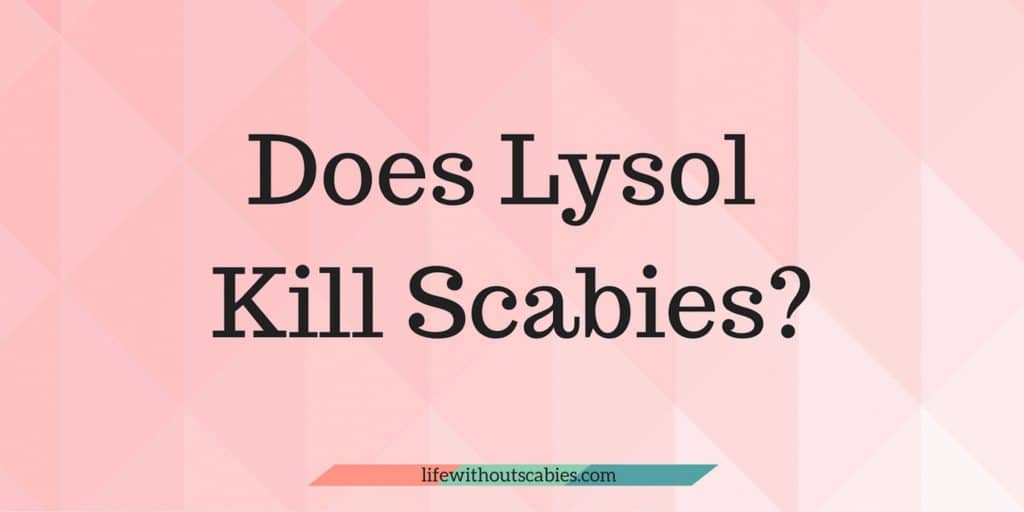 does lysol kill scabies