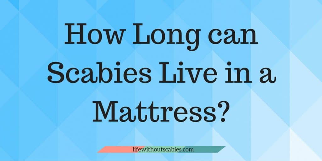 how long can scabies live in a mattress