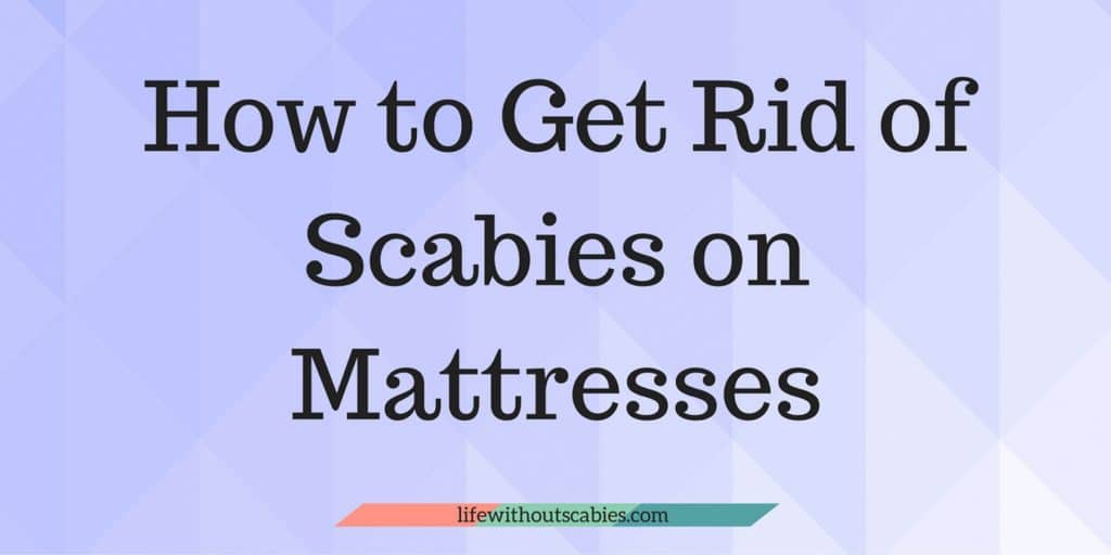 how to get rid of scabies on mattresses